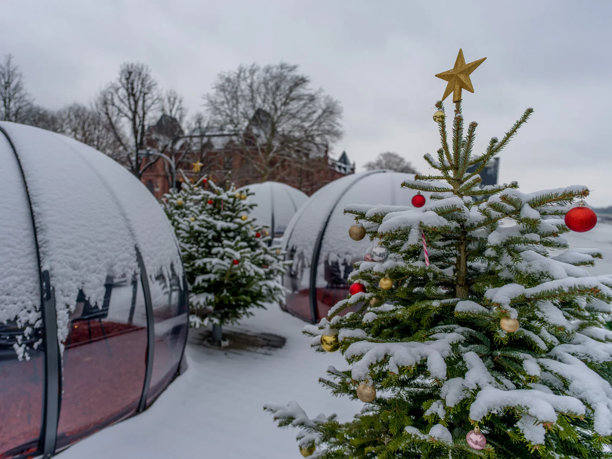 Mehrere verschneite Iglus mit Weihnachtsbäumen auf dem Deck